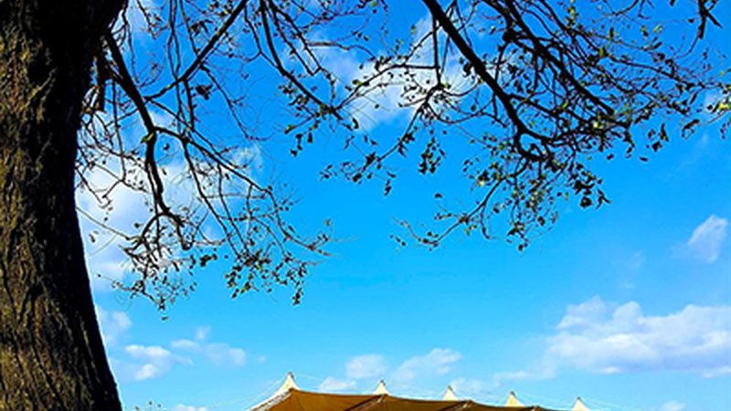 连接器安装流程：从原理到实践，揭秘连接器应用场景