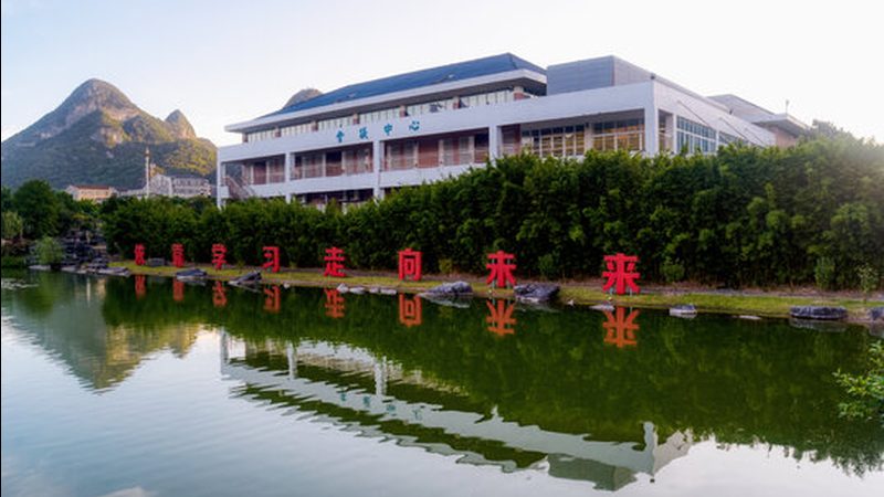 电解电容在电子电路中的应用与选择要点**