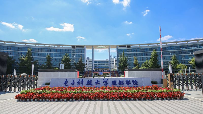 成都电子抗干扰设计定制服务：揭秘抗干扰技术在现代电子设备中的应用